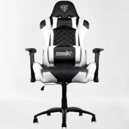 Gamer